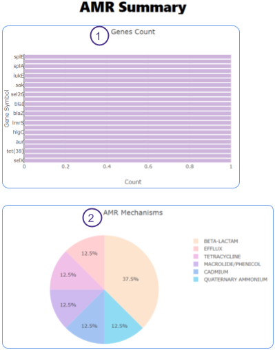 EHR-Int-Viz Summary Plot